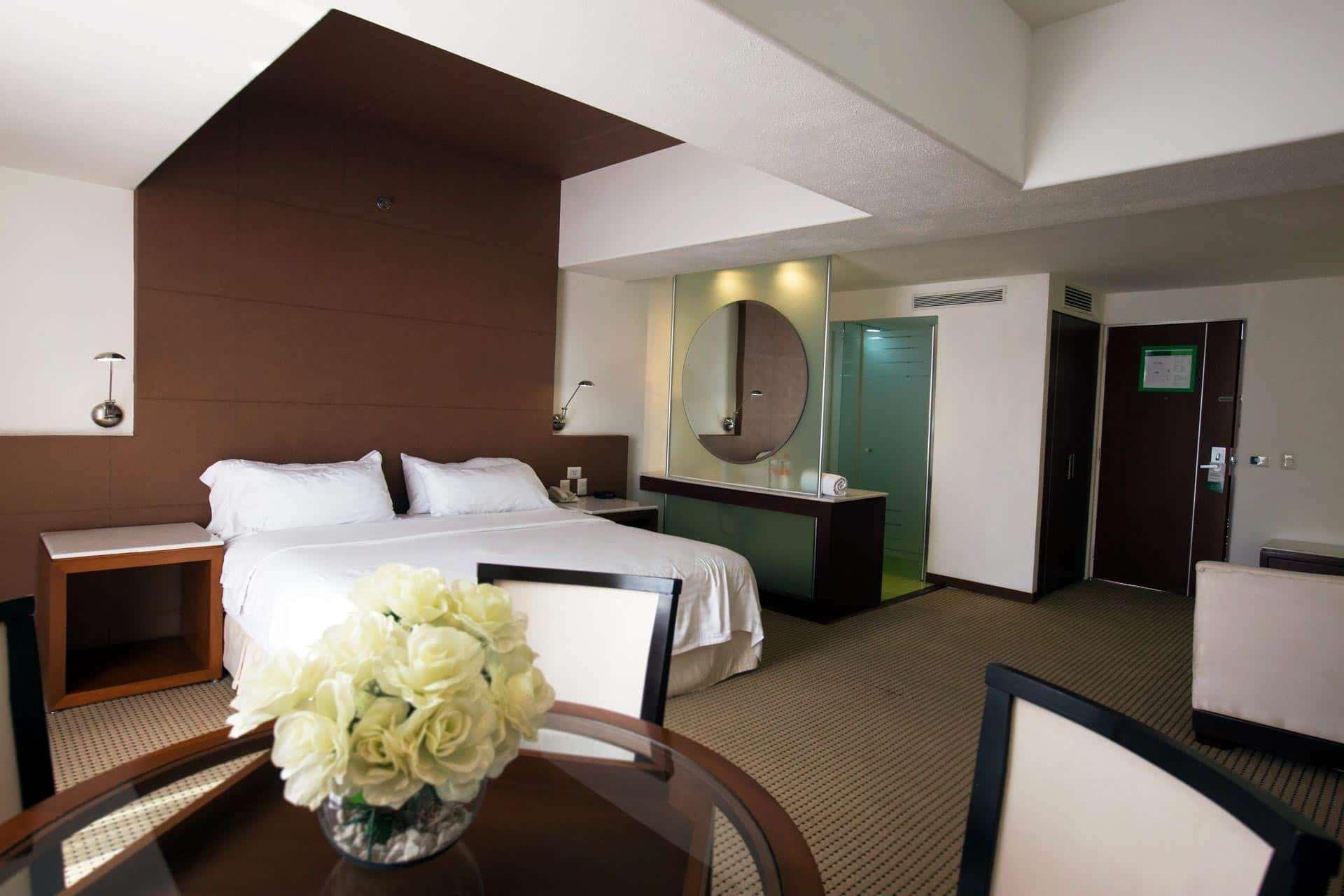 Hotel & Suites Bel Air Business Salamanca Exterior foto